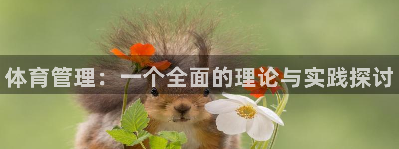 必一体育sport装