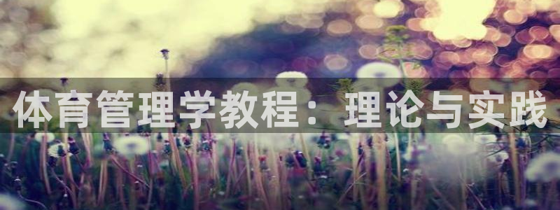 b体育官网下载入口a