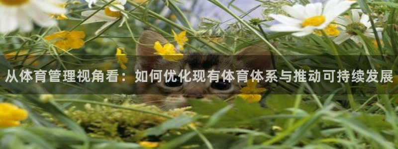 必一体育服下载最新版