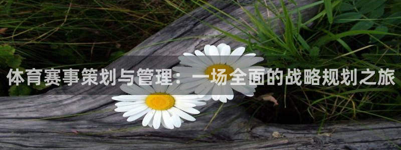 必一体育电子app：