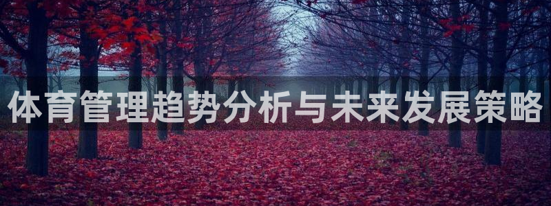 必一体育sport网