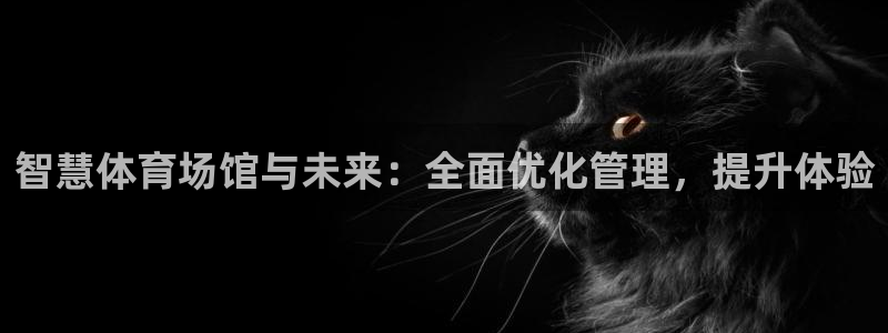 必一运动·(B-Sports)：智慧体育场馆与未来：全面优化