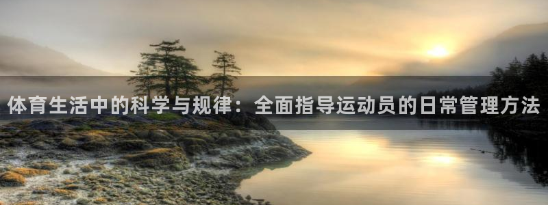 必一体育网页登录版官