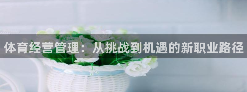 必一体育流水线是什么