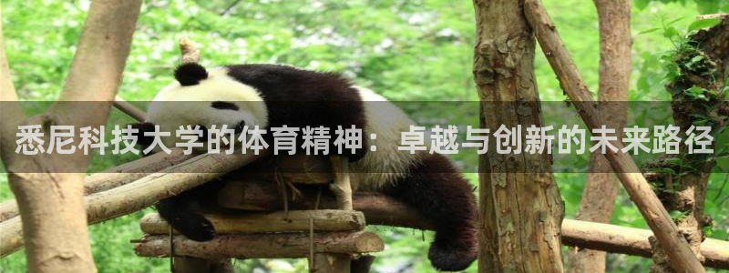 必一体育app下载安