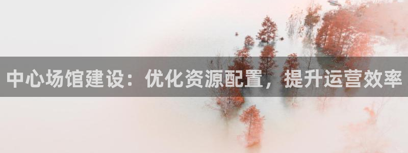 必一体育bsport