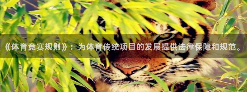 必一体育登录入口AP