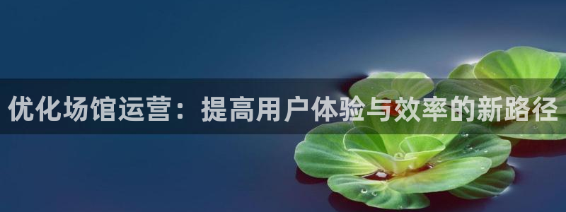必一体育下载：优化场