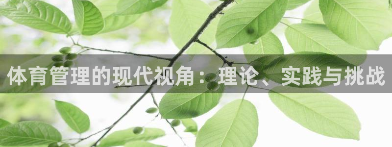 必一体育服下载最新版