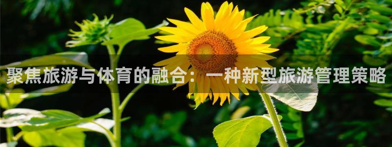 必一运动短信：聚焦旅
