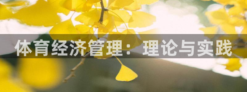 必一体育sport官方网站：体育经济管理：理论与实践