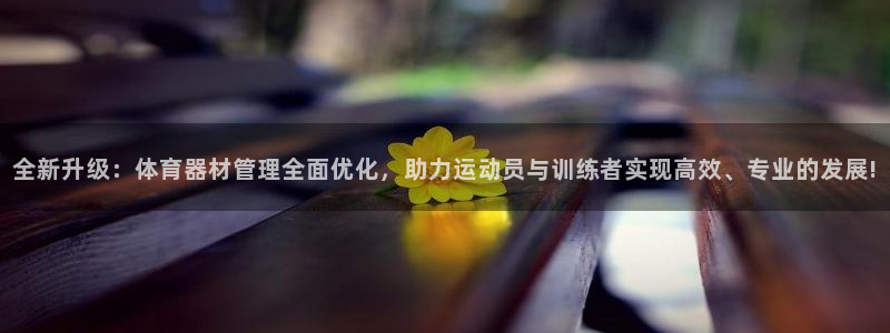 必一体育运动app下