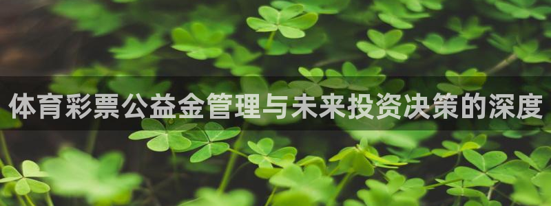 必一运动sport网页版：体育彩票公益金管理与未来投资决策的