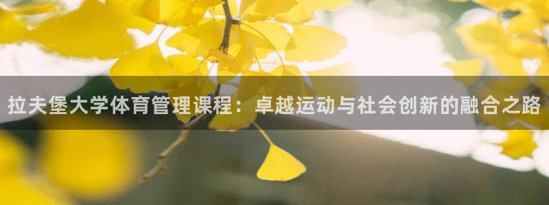 必一体育登录：拉夫堡
