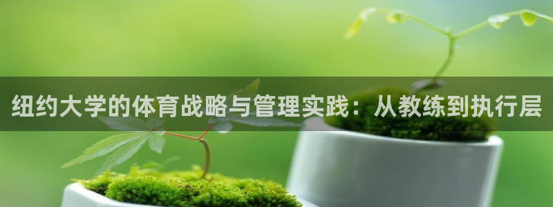 必一体育在线官网：纽