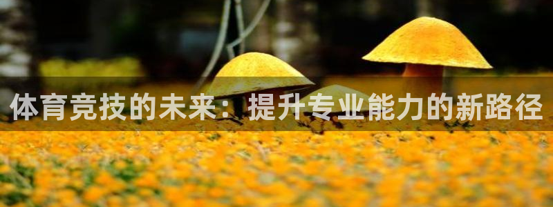 必一运动 b 体育素