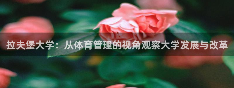 必一运动aop：拉夫
