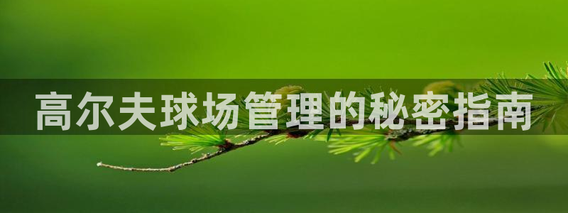 必一体育验证码