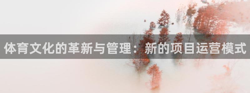 必一运动官网装机吧：体育文化的革新与管理：新的项目运营模式