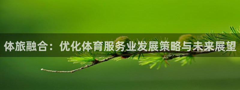 必一体育APP下载安