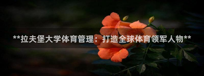 必一体育官方下载入口