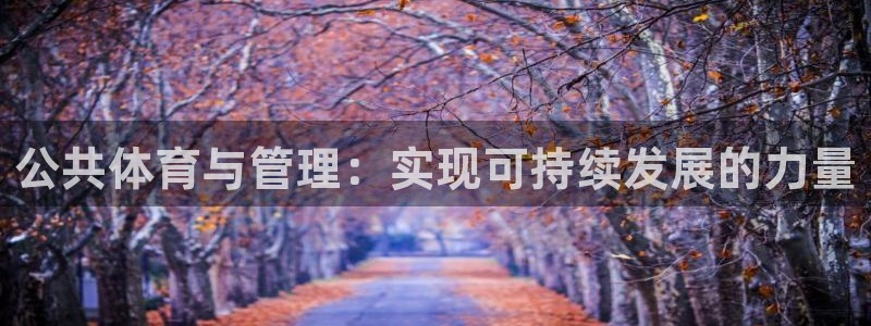 必一运动体育官网下载