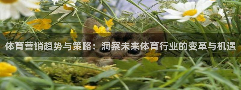 必一体育登录入口：体