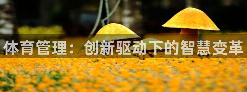 氵必一一厂一：体育管