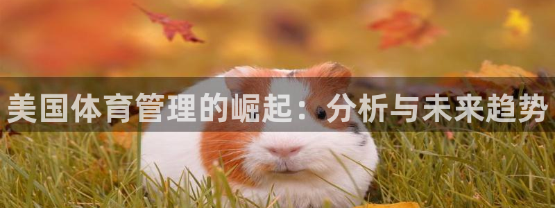 必一体育网页登陆：美