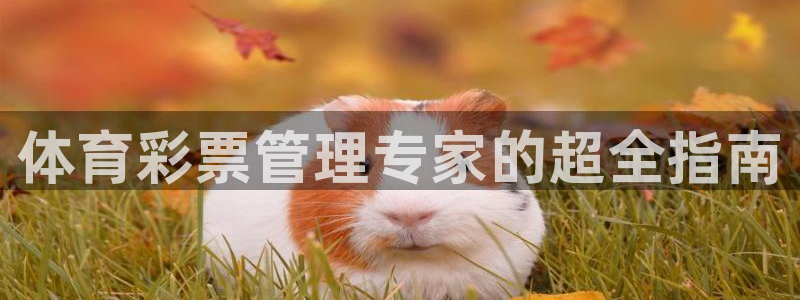 必一体育周公：体育彩