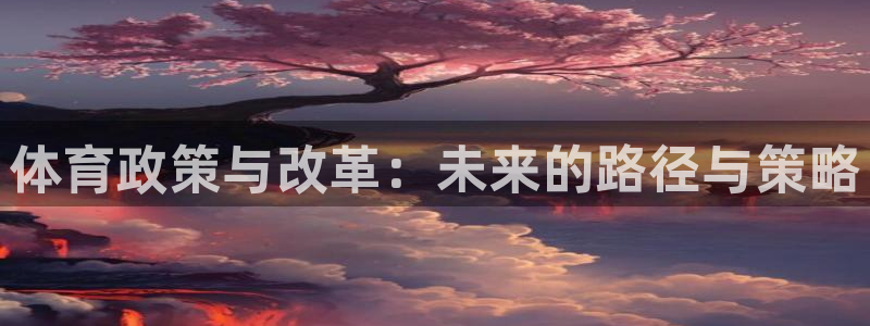 必一体育sport：