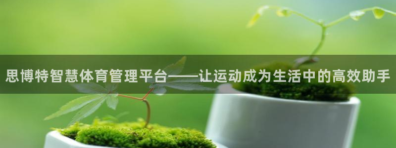 氵必一一厂一：思博特