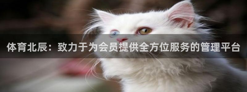 必一体育网址：体育北