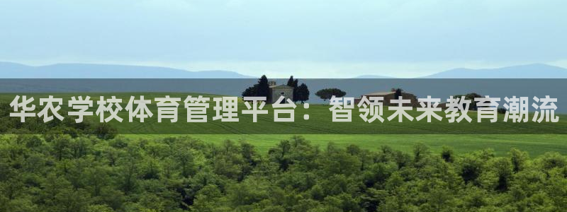 必一体育登录APP下