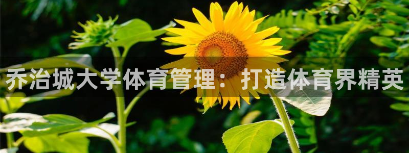 必十二和必一的副作用