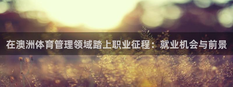 必一体育官方网站入口