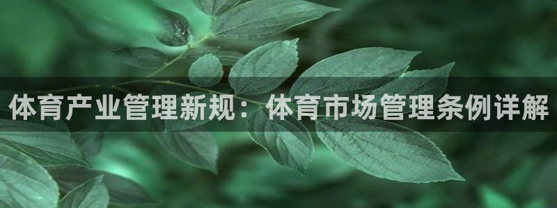 必一体育在哪下：体育