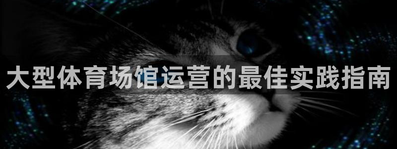 必一体育皮尔斯：大型