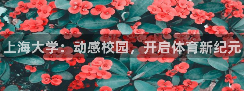 必一体育在线下载：上
