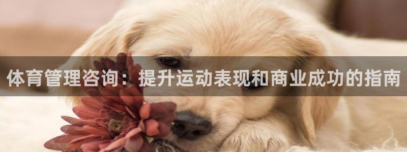 必一体育登陆：体育管