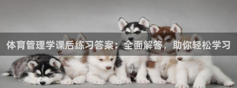 必一体育sport下