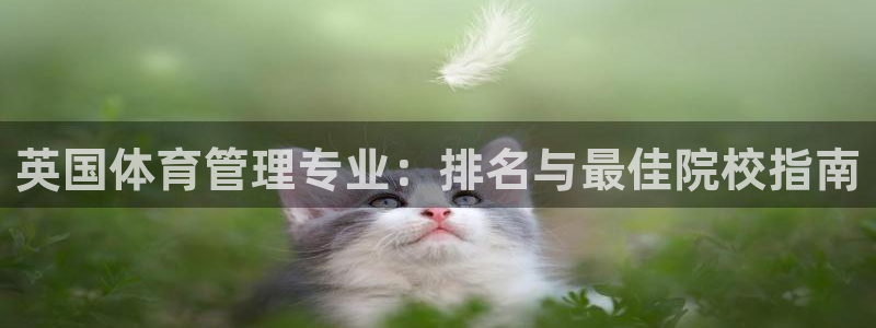 必一体育最新官网入口
