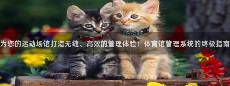 必一体育官方app下