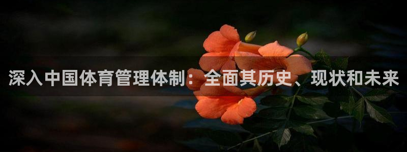 必一体育合法吗