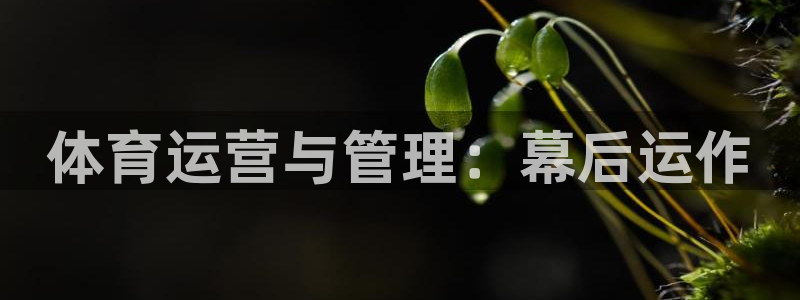 必一运动bsport体育app下载
