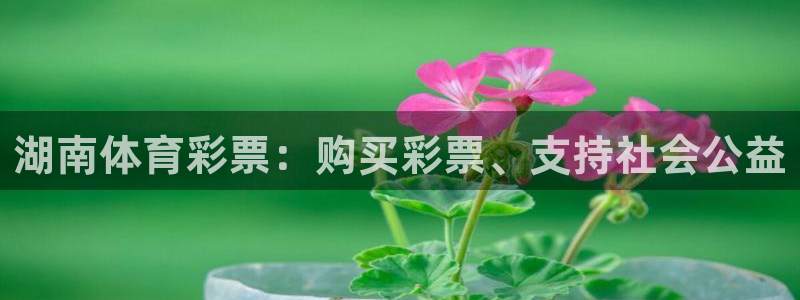 必一体育最新官网入口