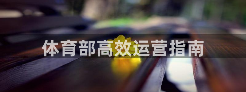 必一体育电子app