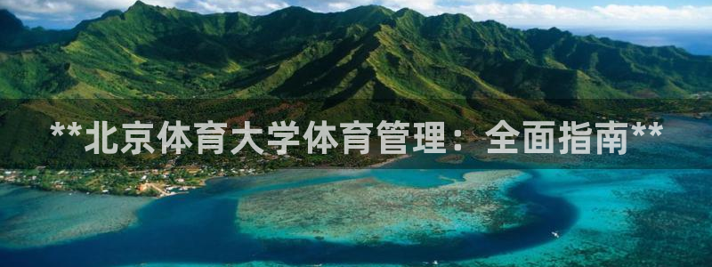 必一体育sport官