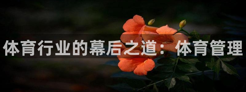 必一体育游戏玩法：体
