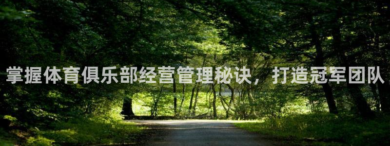 必一体育bsport下载